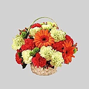 Karanfil Gerbera Aranjman