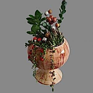 Midi Sukulent Aranjman