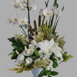 çift dal orkide aranjman