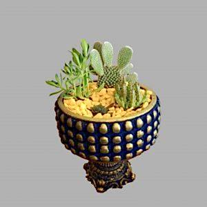 SC063 Sukulent Aranjman