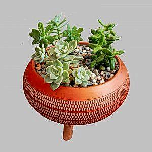 SC064 Sukulent Aranjman