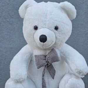 Peluş Ayı (55 cm)